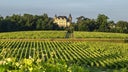 Chateau de Rayne Vigneau