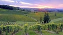Chateau Belingard