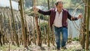 Weingut Markus Molitor