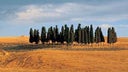Tenuta Friggiali - Pietranera