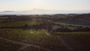 Domaine Raymond Usseglio & Fils