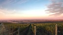 Leonetti Cellars
