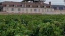 Domaine du Comte Liger-Belair