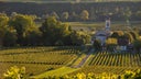 Chateau Raymond-Lafon