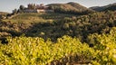 Barone Ricasoli