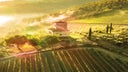 Casa Vinicola Zonin