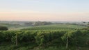 Vignobles Alain Chateau