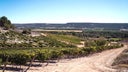 Bodega Matarromera