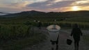 Domaine Fouassier