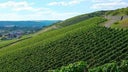 Weingut Emrich-Schonleber