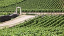 Domaine Jean-Marc Pillot