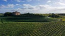 Tenute del Cerro