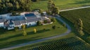 Isabel Estate Vineyard