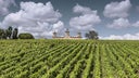 Chateau Cos d'Estournel