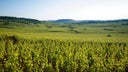 Chanson Pere & Fils en Bourgogne
