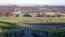 Schild Estate Wines