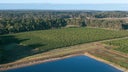Vasse Felix