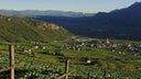 Cantina Terlano - Kellerei Terlan