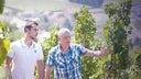 Domaine Jamet