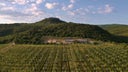 Tenuta Il Poggione