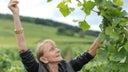 Domaine Leroy