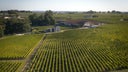 Chateau Pavie Macquin