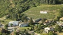 Domaine Courbis