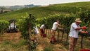 Cantine Leonardo da Vinci