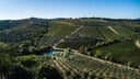 Castello di Ama