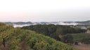 Saxum Vineyards