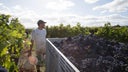 Martinborough Vineyard Estates