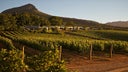 Delaire Graff Estate