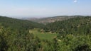 Carmel Winery