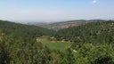 Carmel Winery