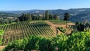 Hirsch Vineyards