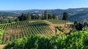 Hirsch Vineyards