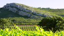 Les Vignobles Foncalieu