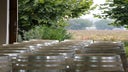 Domaine Mugneret-Gibourg