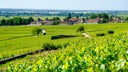 Domaine Tollot-Beaut
