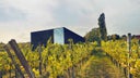 Weingut Loimer GmbH
