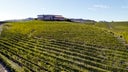 Azienda Vinicola Mauro Molino