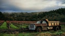 Rutherford Wine Company