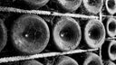 Domaine Robert Chevillon