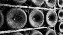 Domaine Robert Chevillon