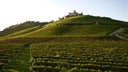 Vietti