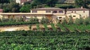 Azienda Agricola La Fortuna