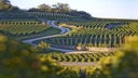 Domaine Amiot Guy et Fils
