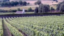 Cognac Lheraud