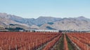 Astrolabe Wines