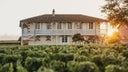 Chateau Haut-Batailley